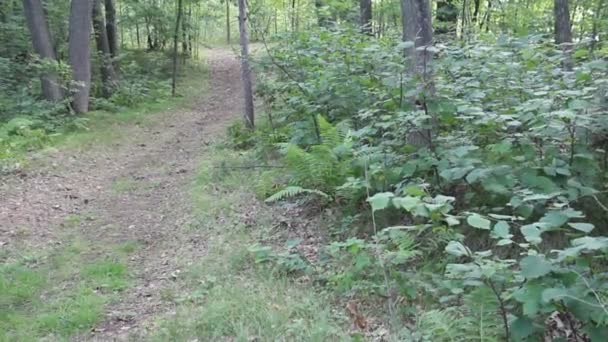 Sentier nature 