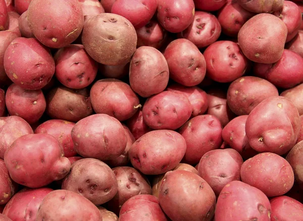 Fundo de batatas vermelhas — Fotografia de Stock