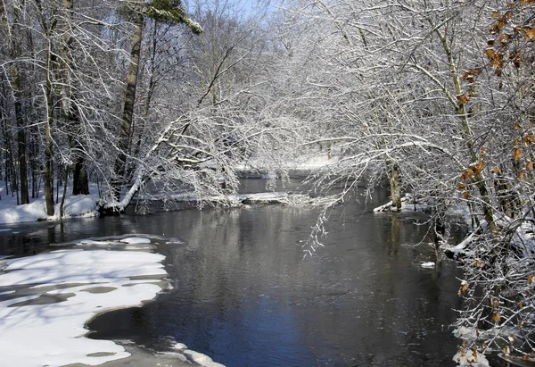 Vintern floden scen — Stockfoto