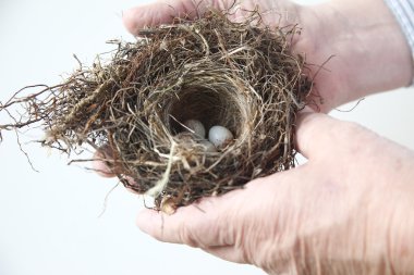 adamın elinde yumurta ile kuş yuvası