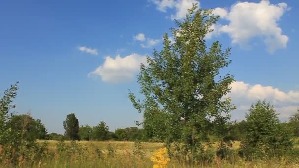 Retorno à natureza — Vídeo de Stock