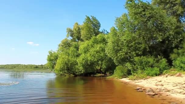 En la orilla del río — Vídeos de Stock