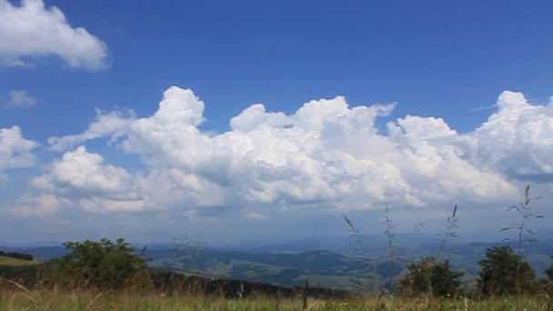Montagnes carpates 