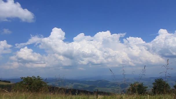 Montanhas Cárpatas — Vídeo de Stock