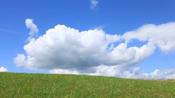 Groene weide en blauwe lucht met wolken — Stockvideo