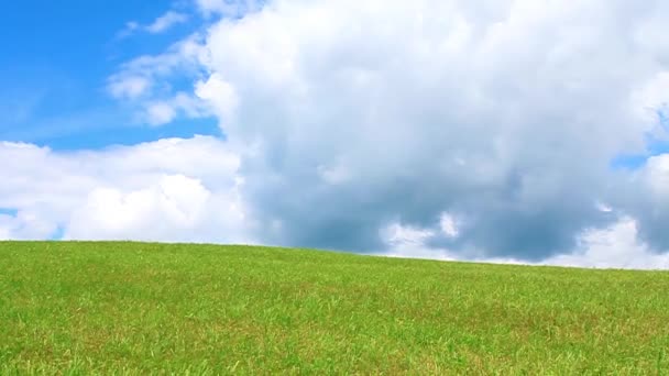 Prado verde e céu azul com nuvens — Vídeo de Stock