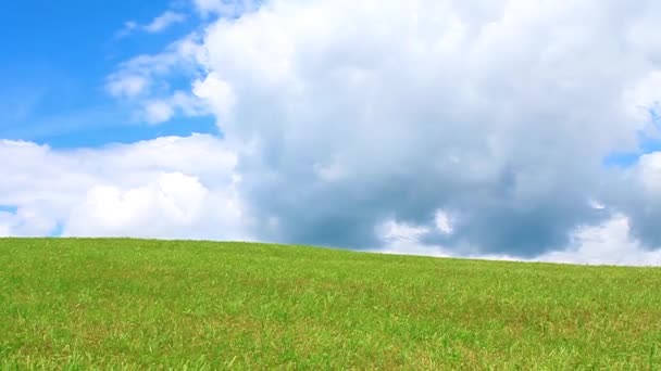 Groene weide en blauwe lucht met wolken — Stockvideo