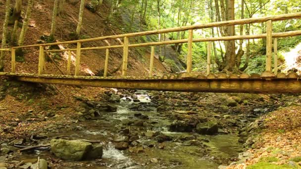 Puente de pie de madera — Vídeos de Stock
