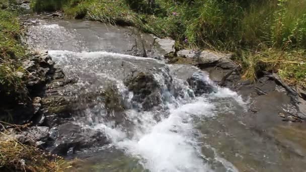 Vízesés a Kárpátok hegyeiben — Stock videók