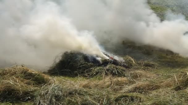 No hay humo sin fuego — Vídeo de stock