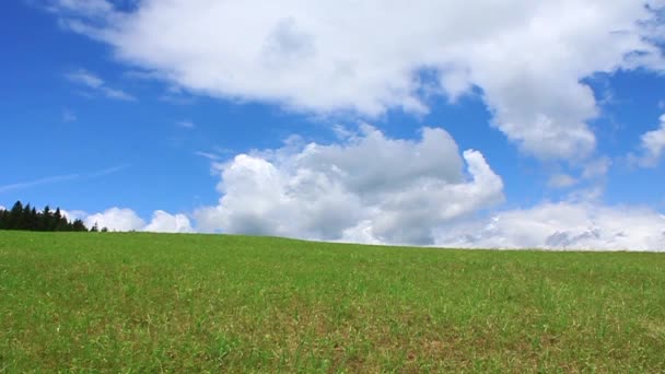 Montañas Cárpatas — Vídeos de Stock