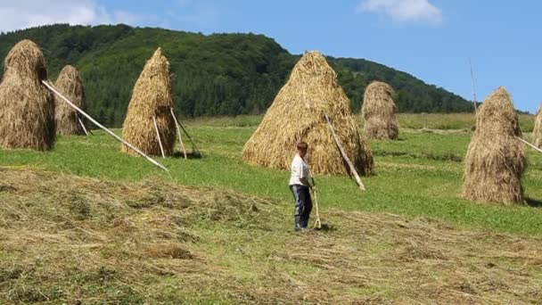 Travailleur rural — Video