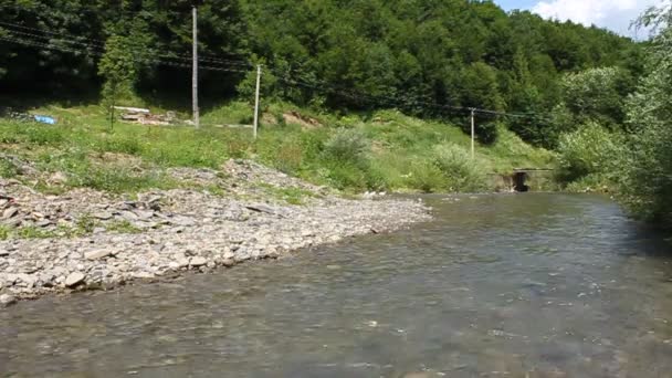 Montaña pequeño río — Vídeos de Stock