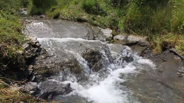 De kleine rivier berg — Stockvideo