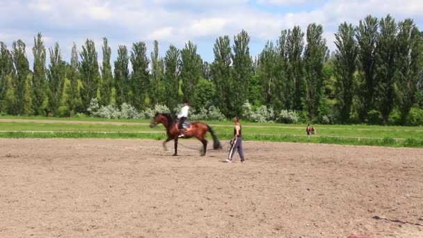 Desporto equestre — Vídeo de Stock