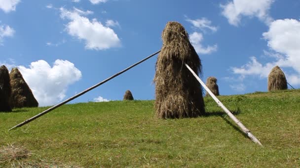 ¡Haystacks! — Vídeos de Stock