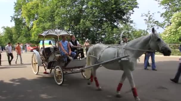 Royal carriage — Stock Video