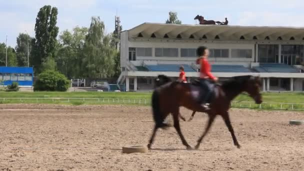 Equestrian sport — Stock Video