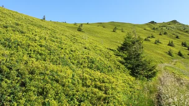 Montañas verdes — Vídeos de Stock