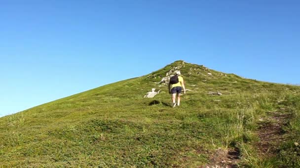 Pico de montaña — Vídeos de Stock