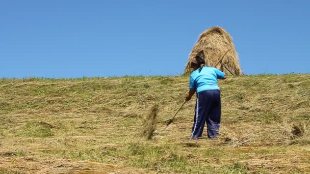 Mulher camponesa — Vídeo de Stock