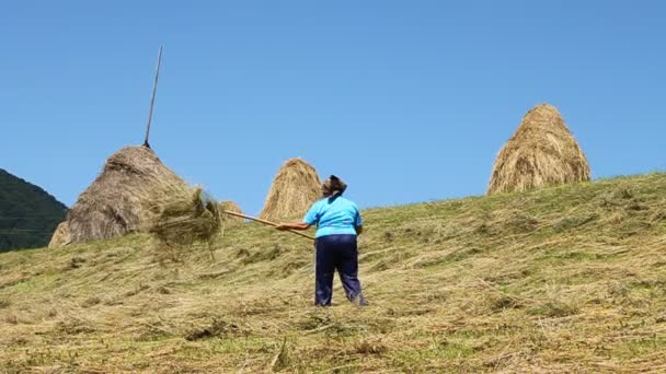 Mujer campesina — Vídeo de stock