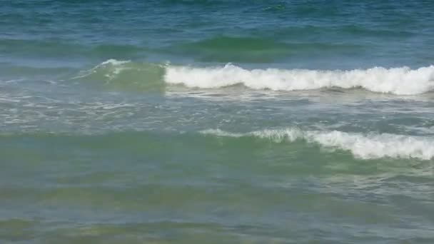 Mer et vagues 