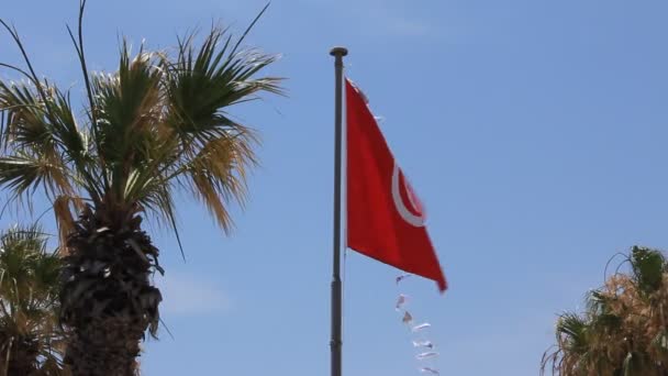Bandera nacional de Túnez — Vídeo de stock