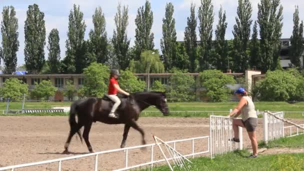 Кінний спорт — стокове відео