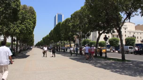 Κεντρικός δρόμος της Τύνιδας, Τυνησία — Αρχείο Βίντεο