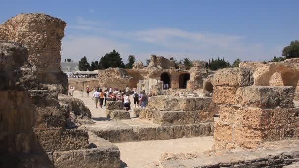 Ruines de l'ancienne Carthage en Tunisie — Video