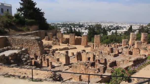 Ruines de l'ancienne Carthage en Tunisie — Video