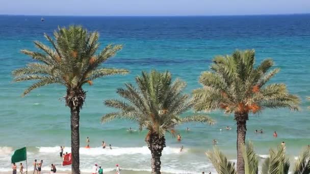 Παραλία στην Τυνησία — Αρχείο Βίντεο