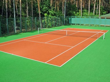 Tenis Kortu, iğne yapraklı ağaç