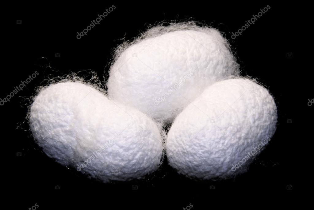 Silk cocoons