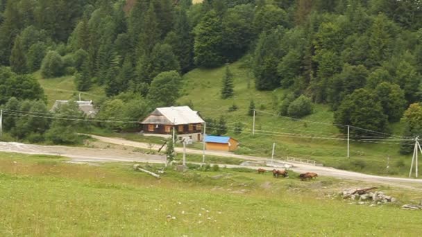 Dům v Karpatských horách — Stock video