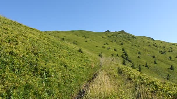 Montañas Cárpatas — Vídeos de Stock