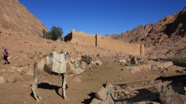 Saint Catherine Manastırı. Sina Yarımadası. Mısır