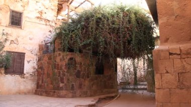 Yanan çalı. Saint Catherine Manastırı. Sina. Mısır