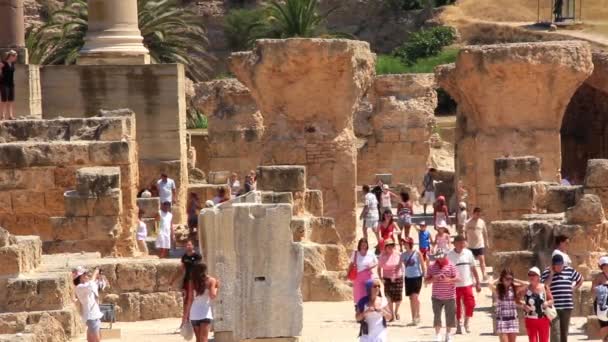 Ruines de l'ancienne Carthage en Tunisie — Video