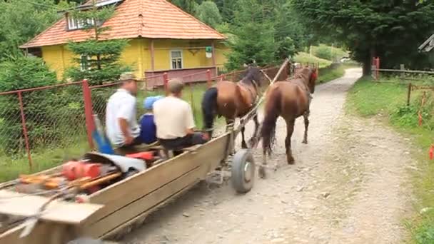 Karpatlar'ın Köyü pilipets — Stok video