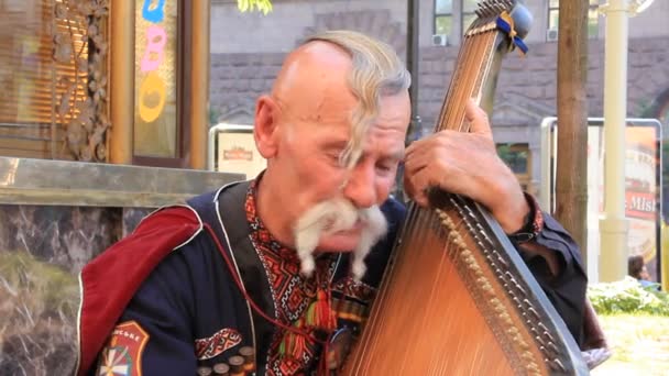 Old free Cossack. Bandura player — Stock Video