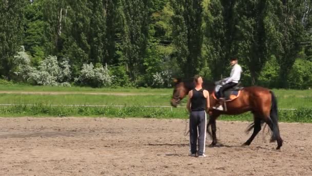 Equestrian sport — Stock Video