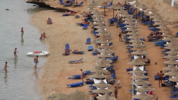 Playa en Egipto — Vídeo de stock