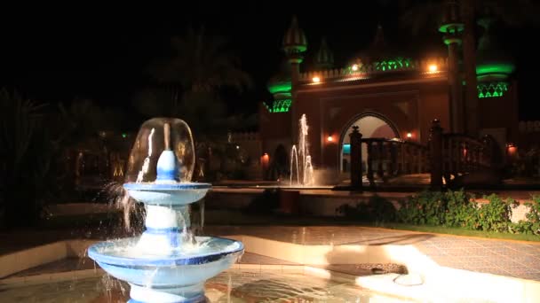 Nacht paleis en fontein — Stockvideo