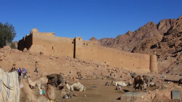 Monasterio de Santa Catalina. Península del Sinaí. Egipto — Vídeos de Stock