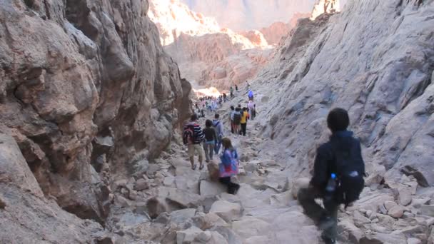 Pilgrims. Moses Mountain. Sinai Peninsula. Egypt — Stock Video