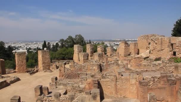 Rovine dell'antica Cartagine in Tunisia — Video Stock