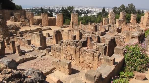 Ruinas de la antigua Cartago en Túnez — Vídeo de stock