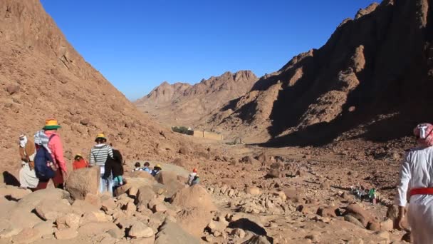 Pilgrimer. Saint catherine kloster. Sinaihalvön. Egypten — Stockvideo